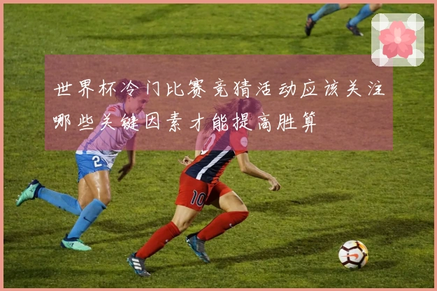 世界杯冷门比赛竞猜活动应该关注哪些关键因素才能提高胜算