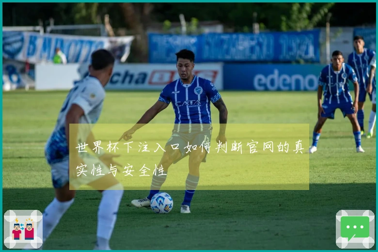 世界杯下注入口如何判断官网的真实性与安全性