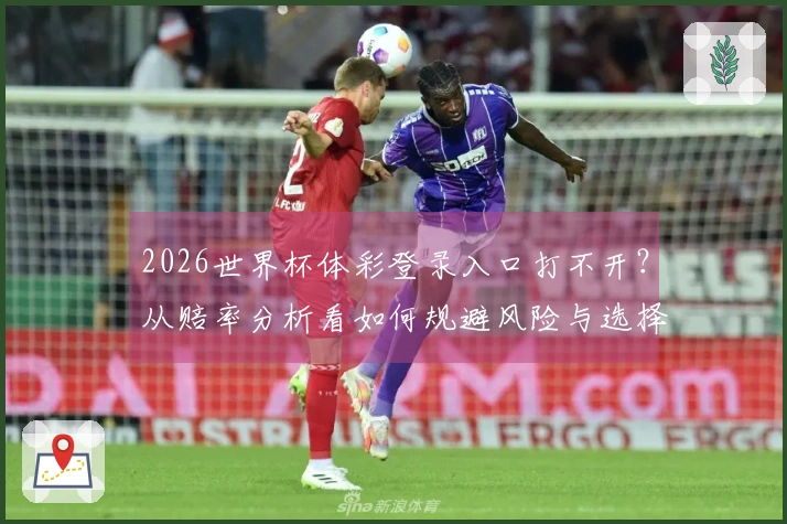 2026世界杯体彩登录入口打不开？从赔率分析看如何规避风险与选择优质平台